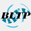 BLTP JINR logo